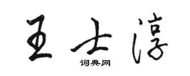 骆恒光王士淳行书个性签名怎么写