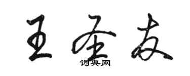 骆恒光王圣友行书个性签名怎么写