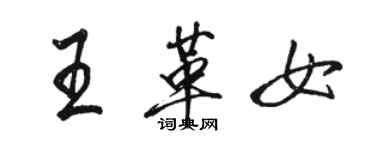 骆恒光王革女行书个性签名怎么写