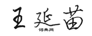 骆恒光王延苗行书个性签名怎么写