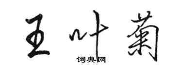 骆恒光王叶菊行书个性签名怎么写