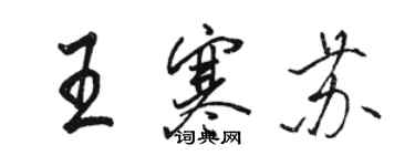 骆恒光王寒苏行书个性签名怎么写