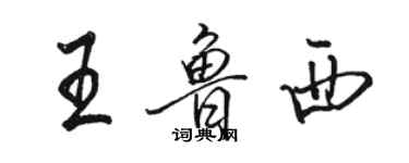 骆恒光王鲁西行书个性签名怎么写