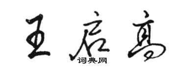 骆恒光王启高行书个性签名怎么写
