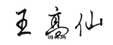 骆恒光王高仙行书个性签名怎么写