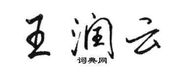 骆恒光王润云行书个性签名怎么写