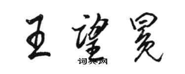 骆恒光王望冕行书个性签名怎么写