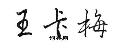 骆恒光王卡梅行书个性签名怎么写