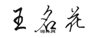 骆恒光王名花行书个性签名怎么写