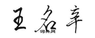 骆恒光王名辛行书个性签名怎么写