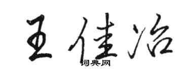 骆恒光王佳冶行书个性签名怎么写