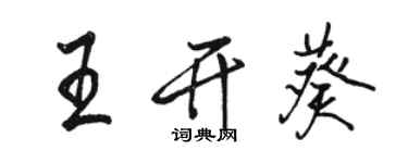 骆恒光王开葵行书个性签名怎么写