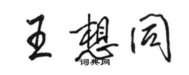 骆恒光王想同行书个性签名怎么写