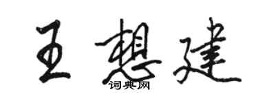 骆恒光王想建行书个性签名怎么写