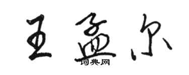 骆恒光王孟尔行书个性签名怎么写