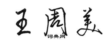 骆恒光王周美行书个性签名怎么写