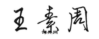 骆恒光王素周行书个性签名怎么写