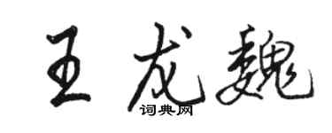 骆恒光王龙魏行书个性签名怎么写