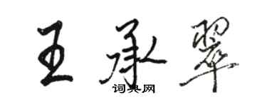 骆恒光王承翠行书个性签名怎么写