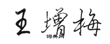骆恒光王增梅行书个性签名怎么写