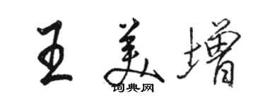 骆恒光王美增行书个性签名怎么写