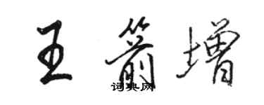 骆恒光王箭增行书个性签名怎么写