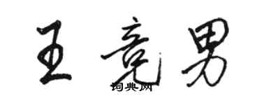 骆恒光王竞男行书个性签名怎么写