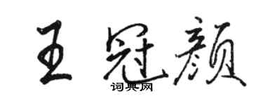 骆恒光王冠颜行书个性签名怎么写
