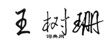 骆恒光王树珊行书个性签名怎么写