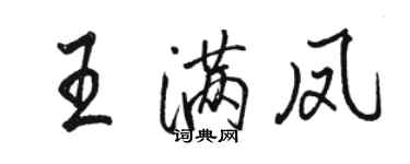 骆恒光王满凤行书个性签名怎么写
