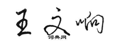 骆恒光王文响行书个性签名怎么写