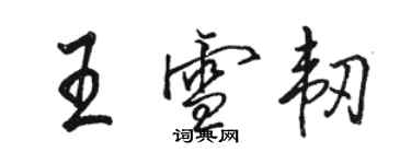 骆恒光王雪韧行书个性签名怎么写