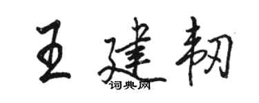骆恒光王建韧行书个性签名怎么写