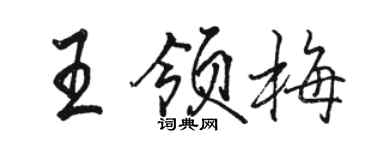 骆恒光王领梅行书个性签名怎么写