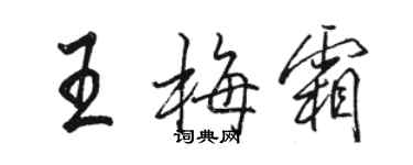 骆恒光王梅霜行书个性签名怎么写