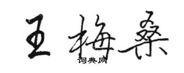 骆恒光王梅桑行书个性签名怎么写