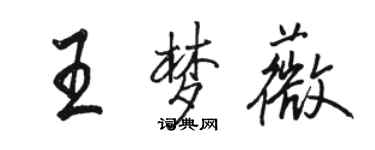骆恒光王梦薇行书个性签名怎么写