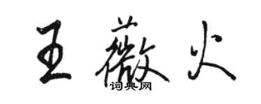 骆恒光王薇火行书个性签名怎么写