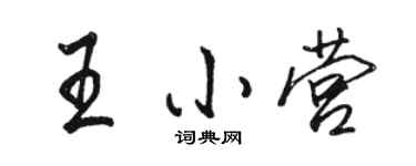 骆恒光王小营行书个性签名怎么写