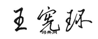 骆恒光王宪环行书个性签名怎么写