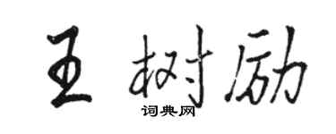 骆恒光王树励行书个性签名怎么写
