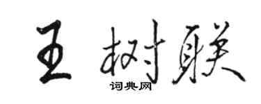 骆恒光王树联行书个性签名怎么写