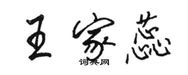 骆恒光王家蕊行书个性签名怎么写