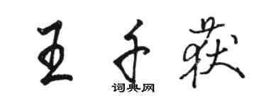 骆恒光王千获行书个性签名怎么写