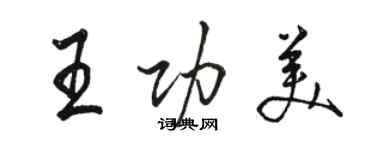 骆恒光王功美行书个性签名怎么写