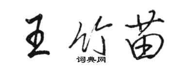 骆恒光王竹苗行书个性签名怎么写