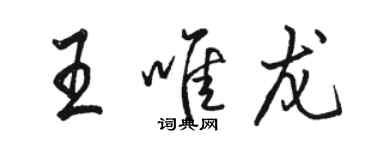 骆恒光王唯龙行书个性签名怎么写