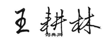 骆恒光王耕林行书个性签名怎么写