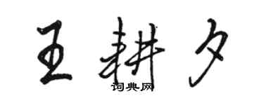 骆恒光王耕夕行书个性签名怎么写