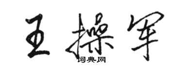 骆恒光王操军行书个性签名怎么写